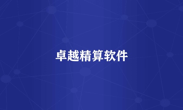 卓越精算软件