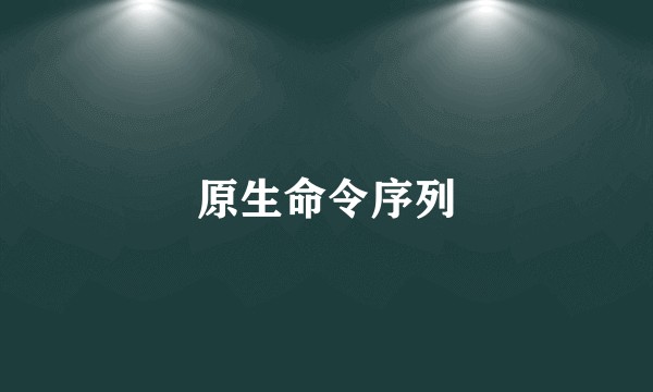 原生命令序列
