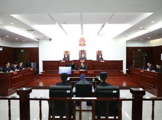 向慧（湖南高院女法官遇害案罪犯）