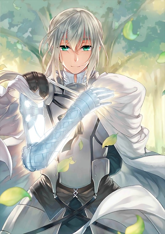 贝德维尔(Fate系列Saber之一)