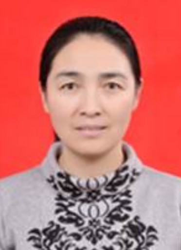 苏玉红（教授 、博士生导师）