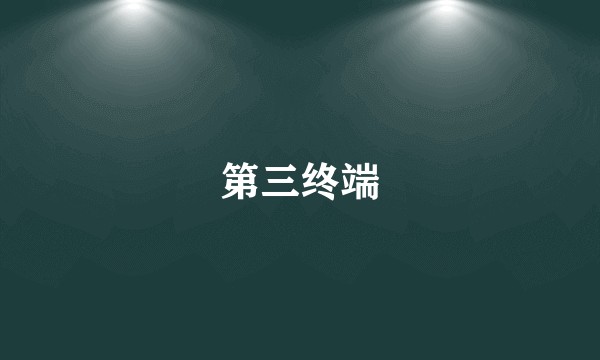 第三终端