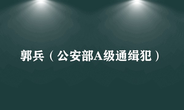 郭兵(公安部A级通缉犯)