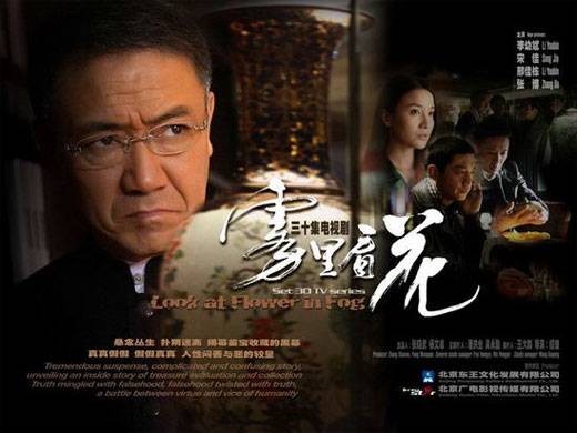 雾里看花（2009年李幼斌主演电视剧）