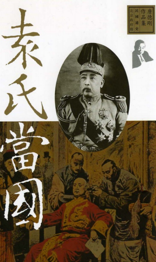 袁氏当国(2004年广西师范大学出版社出版的图书)