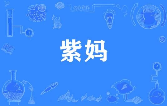 紫妈