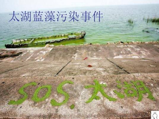 2007年太湖蓝藻污染事件