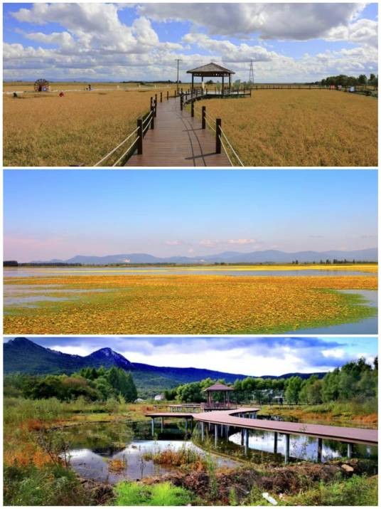 通河县