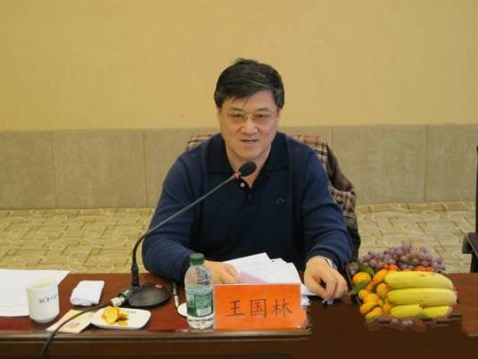 王国林（联合国‘和平勋章’获得者）