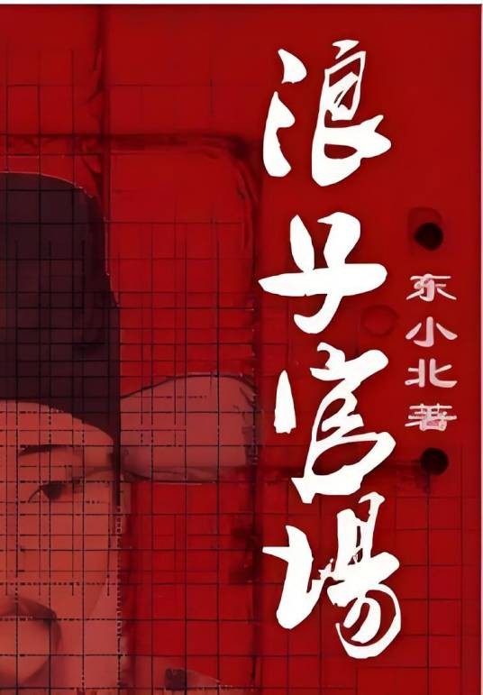 浪子官场