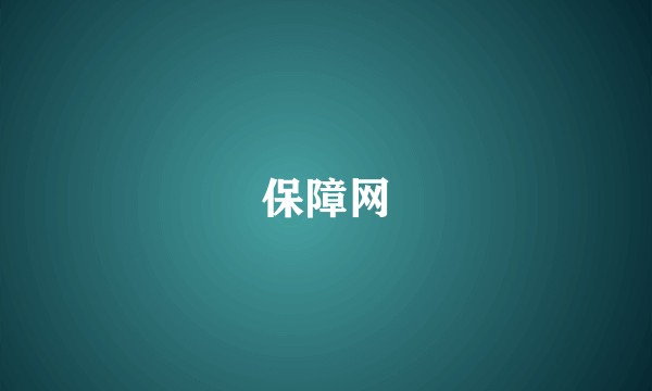 保障网