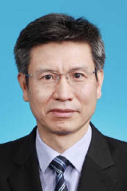 刘宝华(国家能源局原党组成员、副局长)