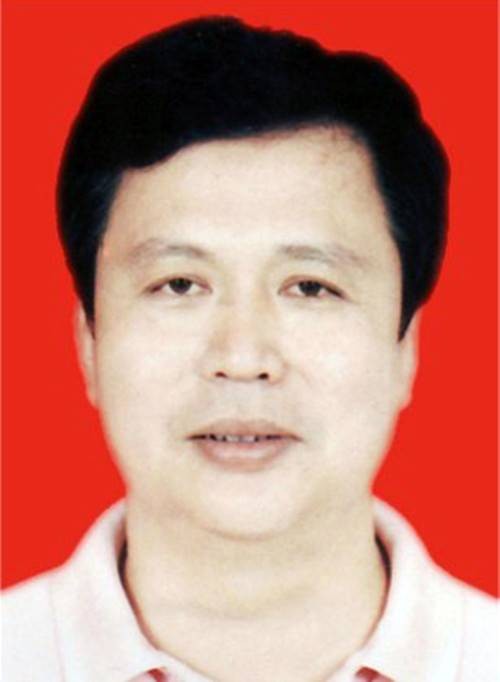 戴文（广东省湛江市徐闻县人大常委会副主任）