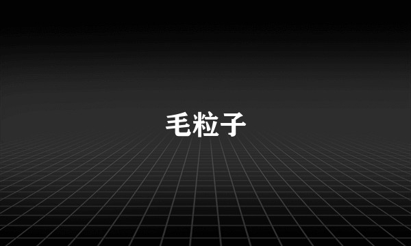 毛粒子