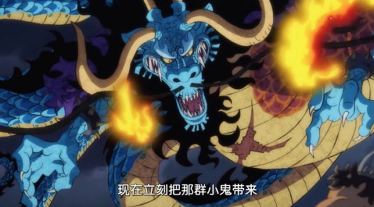 鱼鱼果实