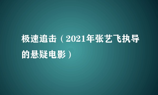 极速追击（2021年张艺飞执导的悬疑电影）