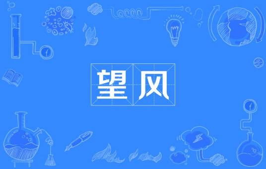 望风（词语概念）