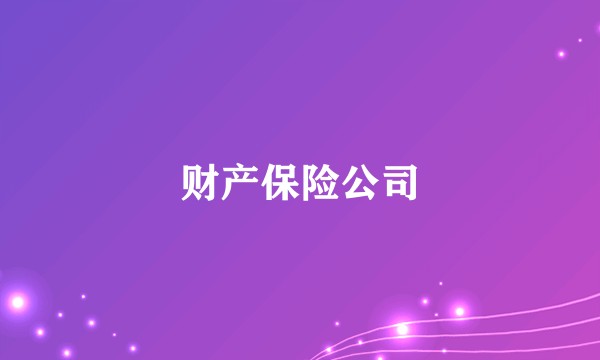 财产保险公司