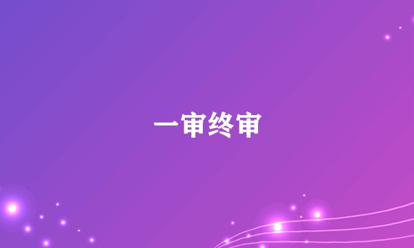 一审终审