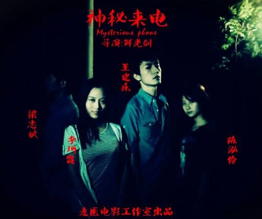 神秘来电（2011年鲜光剑执导的园悬疑穿越惊悚电影）