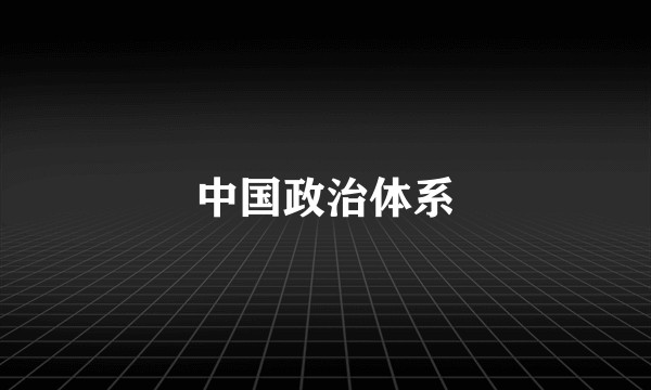 中国政治体系