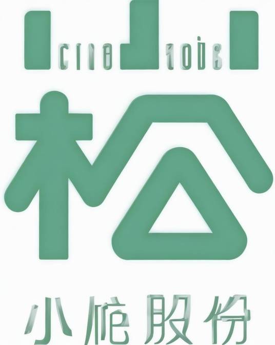 广东小崧科技股份有限公司