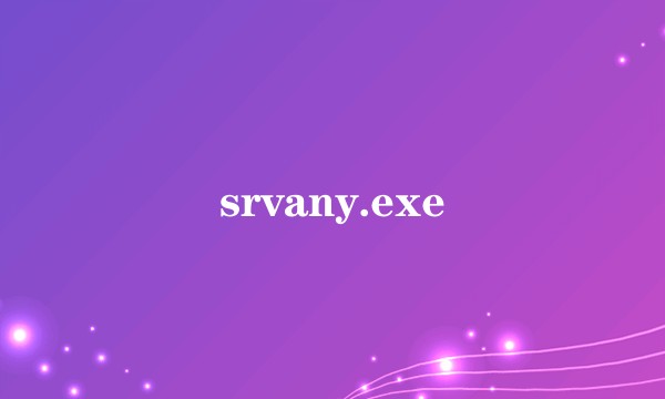 srvany.exe