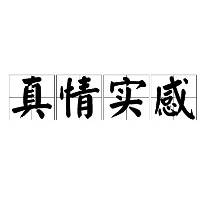真情实感（汉语词语）