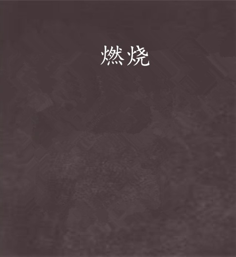 燃烧（天空创作的网络小说）
