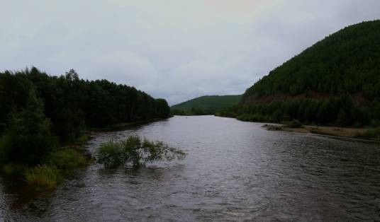 金河（额尔古纳河水系激流河一级支流）