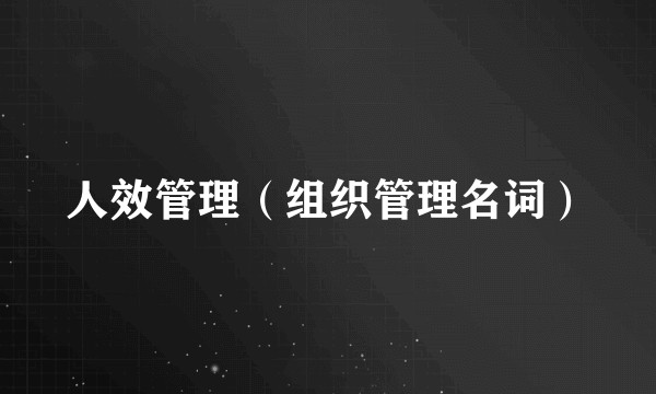人效管理（组织管理名词）