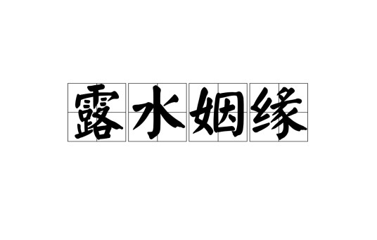 露水姻缘