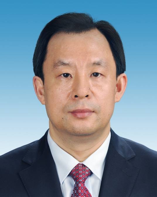 陆昊（第二十届中央委员，国务院发展研究中心主任、党组书记）