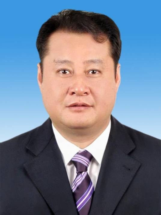王庆武（安徽省引江济淮集团有限公司党委书记）