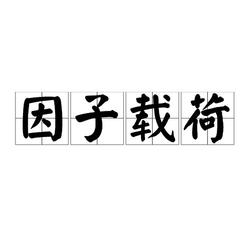 因子载荷