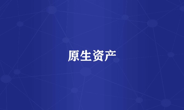 原生资产