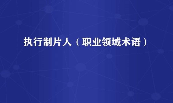 执行制片人（职业领域术语）