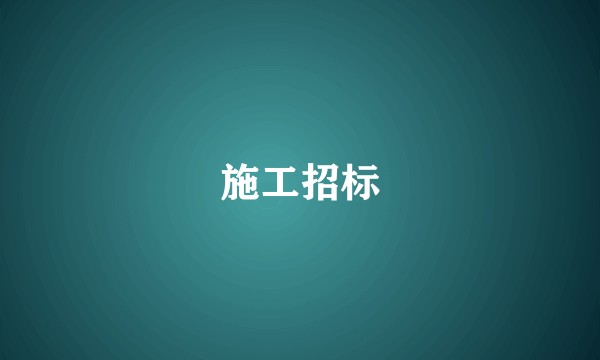施工招标