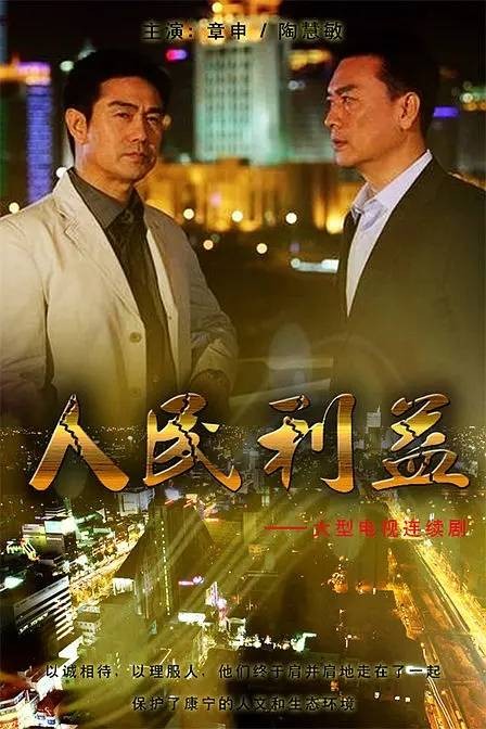 人民利益（中国2008年陈健执导的电视剧）