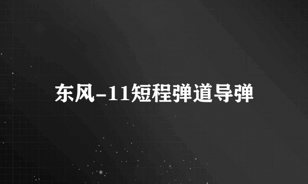东风-11短程弹道导弹