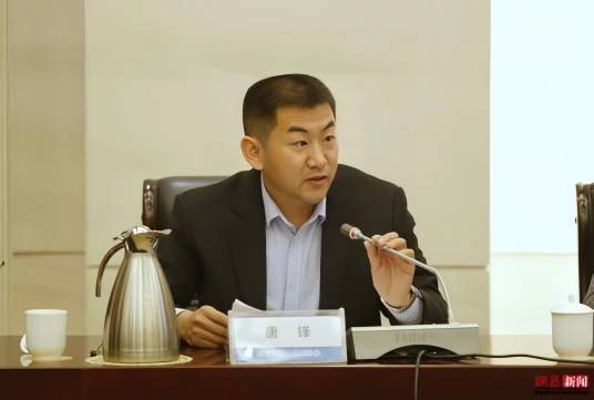 唐锋（山东盛唐新能源电力股份有限公司董事长）
