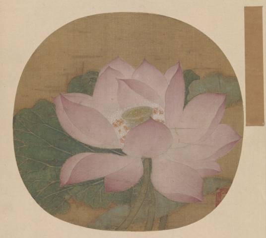 出水芙蓉图（南宋时期的绢本设色画）