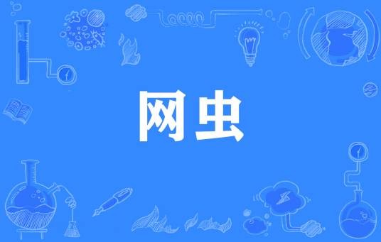网虫（网络流行词）