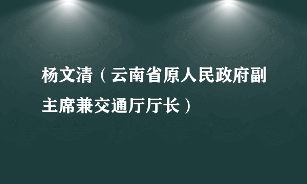 杨文清（云南省原人民政府副主席兼交通厅厅长）