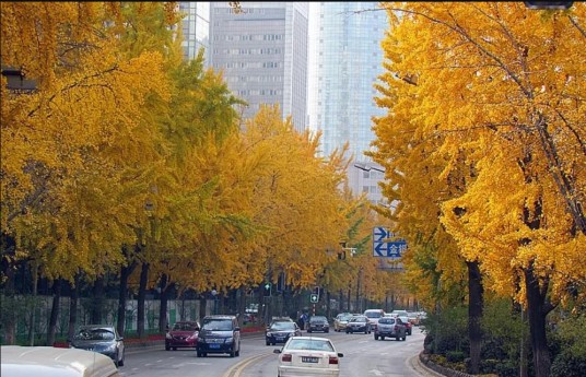 北京西路（中国江苏省南京市鼓楼区境内道路）