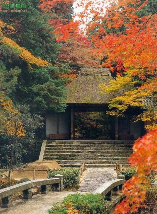 净地(汉语词语)