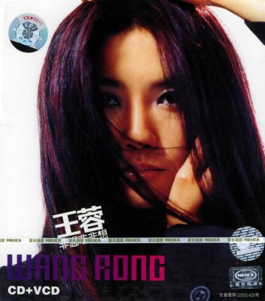 非想非非想（王蓉2003年音乐专辑）