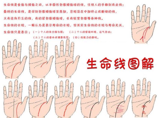 手相学