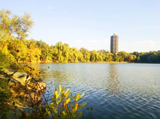 未名湖（北京大学未名湖）