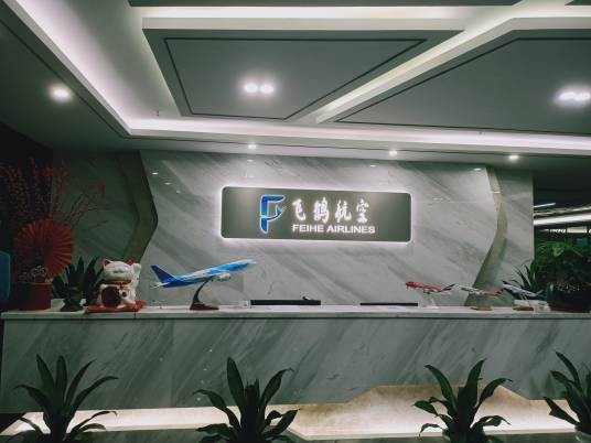 深圳市飞鹤航空服务有限公司